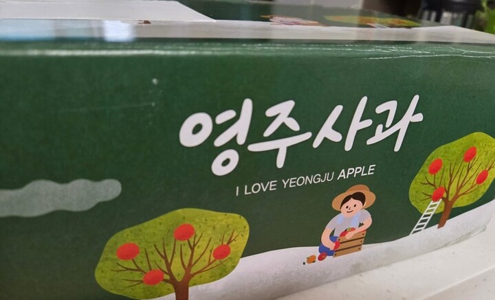 보도사진