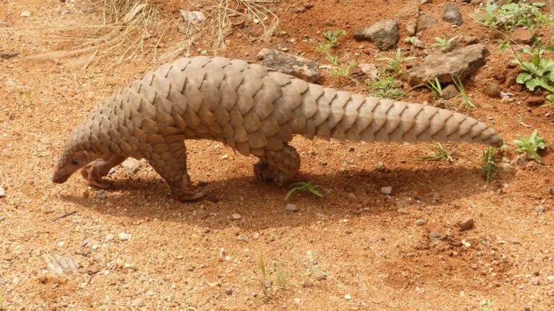 보도사진