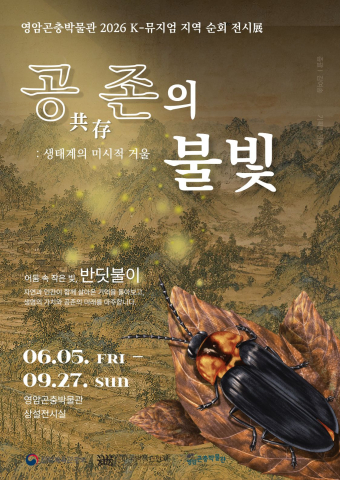 보도사진