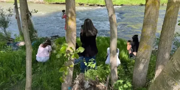 보도사진